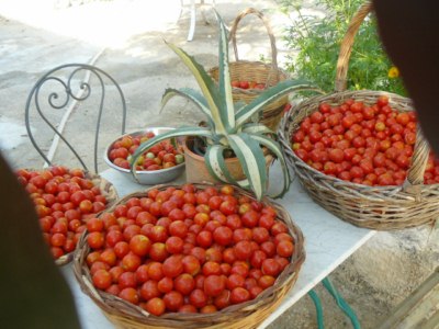 cesti di pomodori